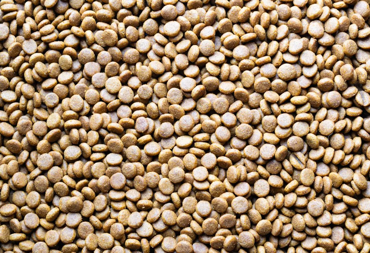 Grinds and pellets grain, oilseed meal and additives into livestock feed.