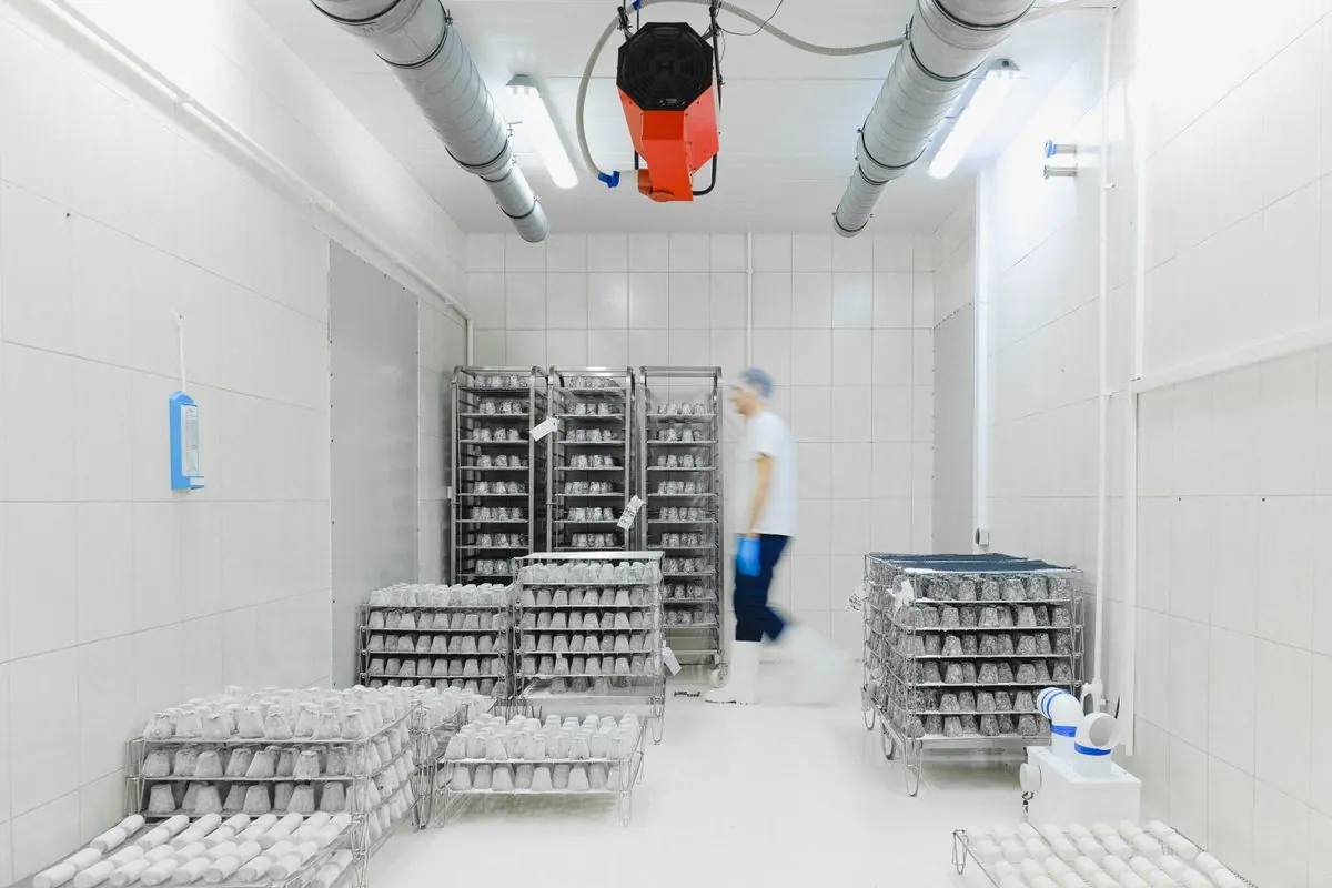 Holds and moves temperature-sensitive commodities between production and port.