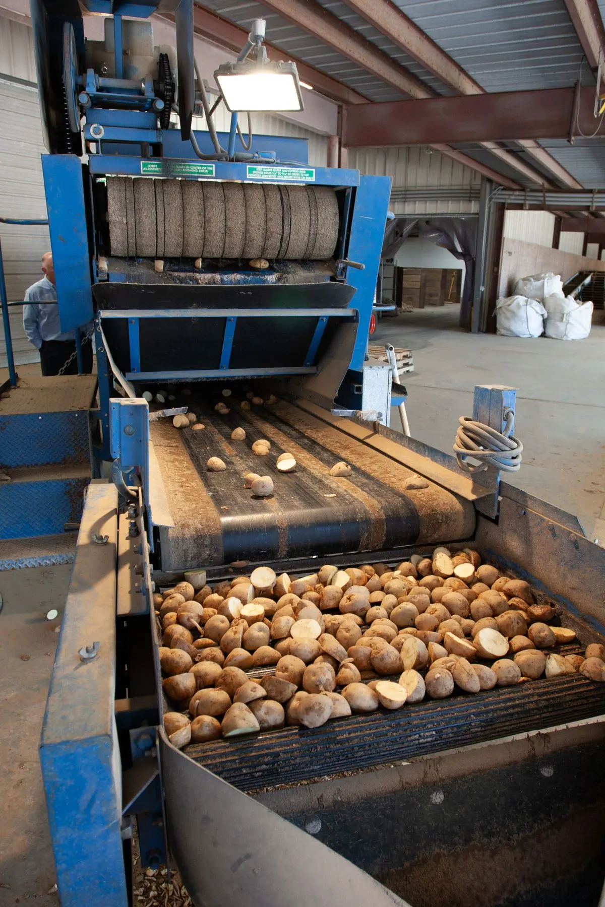 Washes, sorts, cuts and packs fresh or frozen produce.