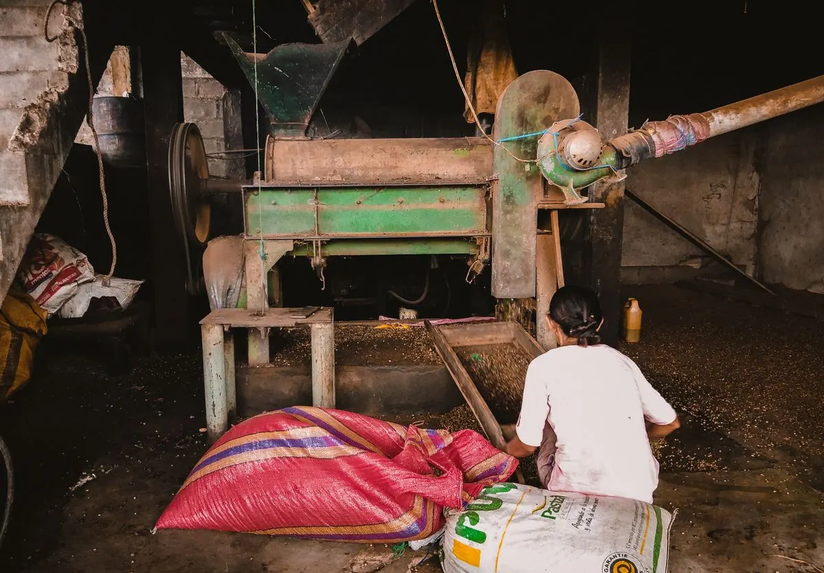 Hulls, polishes and grades grain into a finished, saleable product.